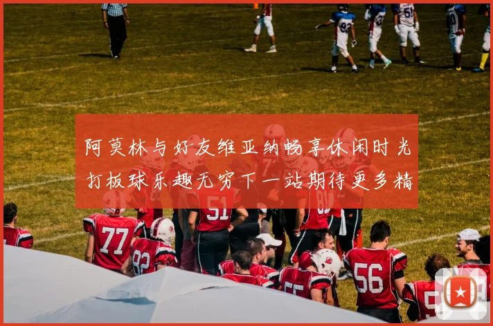 阿莫林与好友维亚纳畅享休闲时光打板球乐趣无穷下一站期待更多精彩